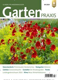 Titelbild der Ausgabe 9/2024 von Gartenpraxis. Diese Zeitschrift und viele weitere Naturzeitschriften, Landwirtschaftszeitungen und Umweltmagazine als Abo oder epaper bei United Kiosk online kaufen.