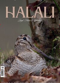 Titelbild der Ausgabe 1/2025 von Halali. Diese Zeitschrift und viele weitere Sportmagazine als Abo oder epaper bei United Kiosk online kaufen.