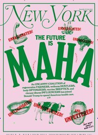 Titelbild der Ausgabe 27/2024 von New York Magazine. Diese Zeitschrift und viele weitere Wirtschaftsmagazine und Politikmagazine als Abo oder epaper bei United Kiosk online kaufen.