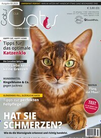 Titelbild der Ausgabe 3/2025 von Our Cats. Diese Zeitschrift und viele weitere Elternzeitschriften und Tierzeitschriften als Abo oder epaper bei United Kiosk online kaufen.