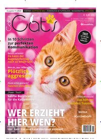 Titelbild der Ausgabe 11/2024 von Our Cats. Diese Zeitschrift und viele weitere Elternzeitschriften und Tierzeitschriften als Abo oder epaper bei United Kiosk online kaufen.