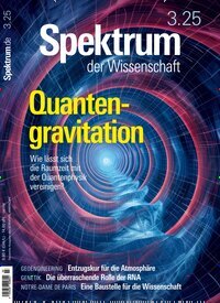 Titelbild der Ausgabe 3/2025 von Spektrum der Wissenschaft. Diese Zeitschrift und viele weitere Reisemagazine, Freizeitmagazine und Wissensmagazine als Abo oder epaper bei United Kiosk online kaufen.